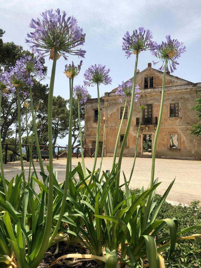 Aragoniteazzurra Casa Vacanza Gonnesa Bagian luar foto